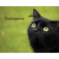 Картинка с черным котом и именем Екатерина