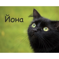 Картинка с черным котом и именем Йона