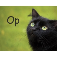 Картинка с черным котом и именем Ор