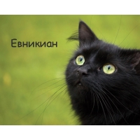 Картинка с черным котом и именем Евникиан