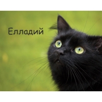 Картинка с черным котом и именем Елладий
