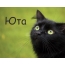 Картинка с черным котом и именем Юта