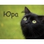Картинка с черным котом и именем Юра